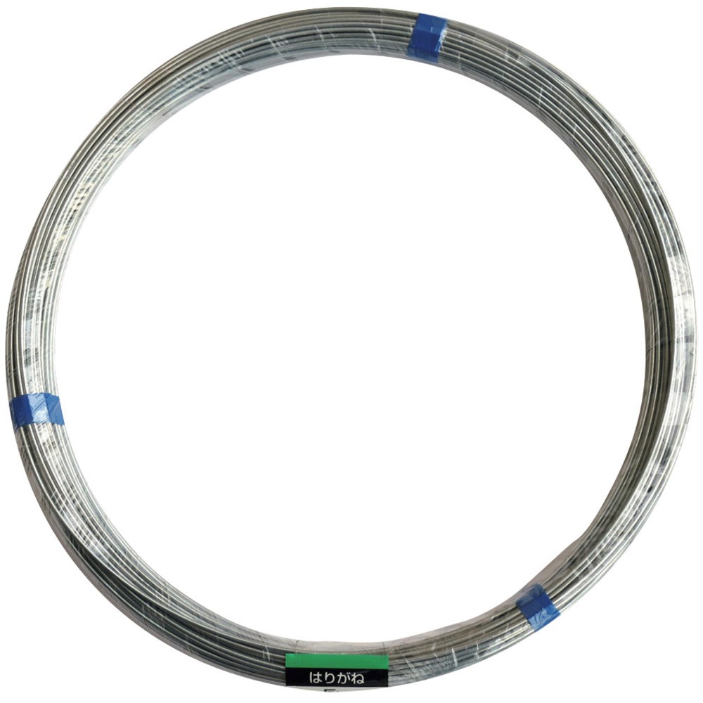 【製造業者直送T】 ＤＡＩＤＯＨＡＮＴ 鉄条 ５Ｋｇ巻 ＃１０ 10155459