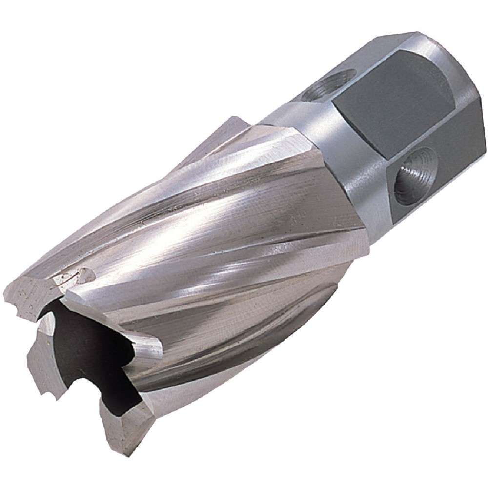 【製造業者直送T】 日東 御機嫌胸飾り ワンタッチ手合い ２０Ｘ２５Ｌ １６２２０ NO.16220