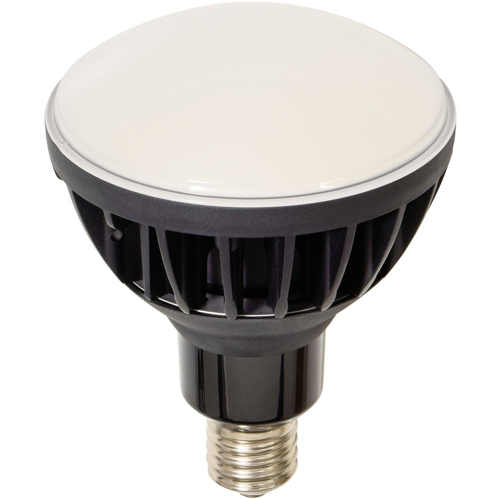 【製造会社直送T】 ＮＩＣＨＩＤＯ ＬＥＤ取り替えっこ球 ハイスペックエコビック５０Ｗ Ｅ３９ 本体黒 L50V2-J110BK-50K(14160)