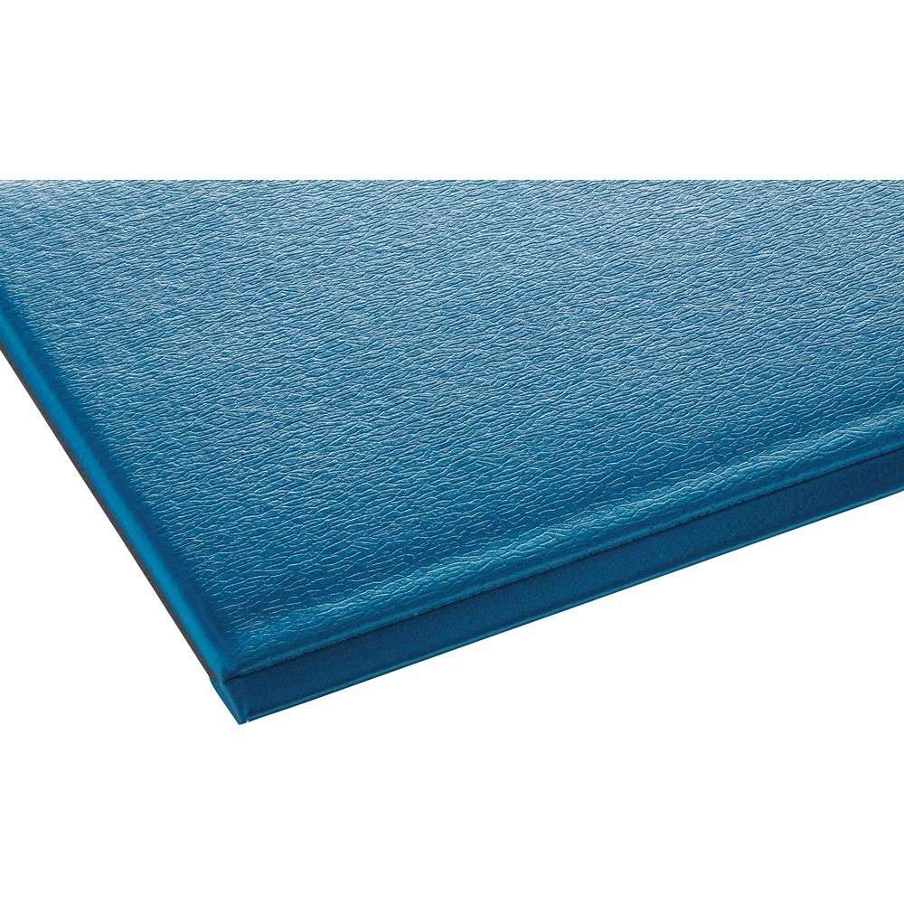 【製造会社直送T】 テラモト テラ座布団極厚 青碧 ４５０×６００粍 MR-069-020-3