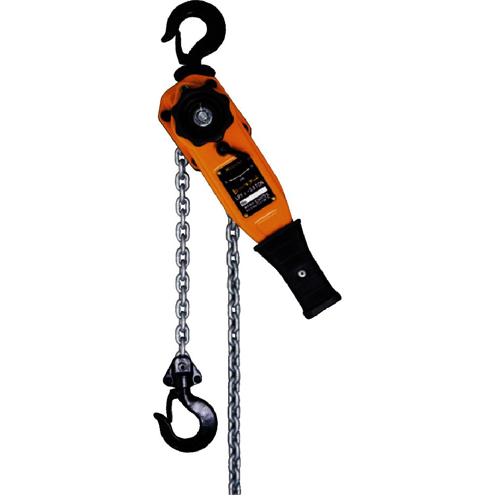 【製造会社直送T】 ＴＡＩＹＯ 生き肝ホイスト ヒッパラー ＬＰＹ２－０．８ｔ（１２１１６３０） LPY20.8T