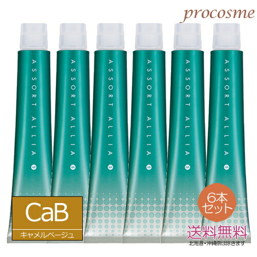 【6本セット】デミ アソート アリア S キャメルベージュ 9/8CaB 1剤 80g×6本