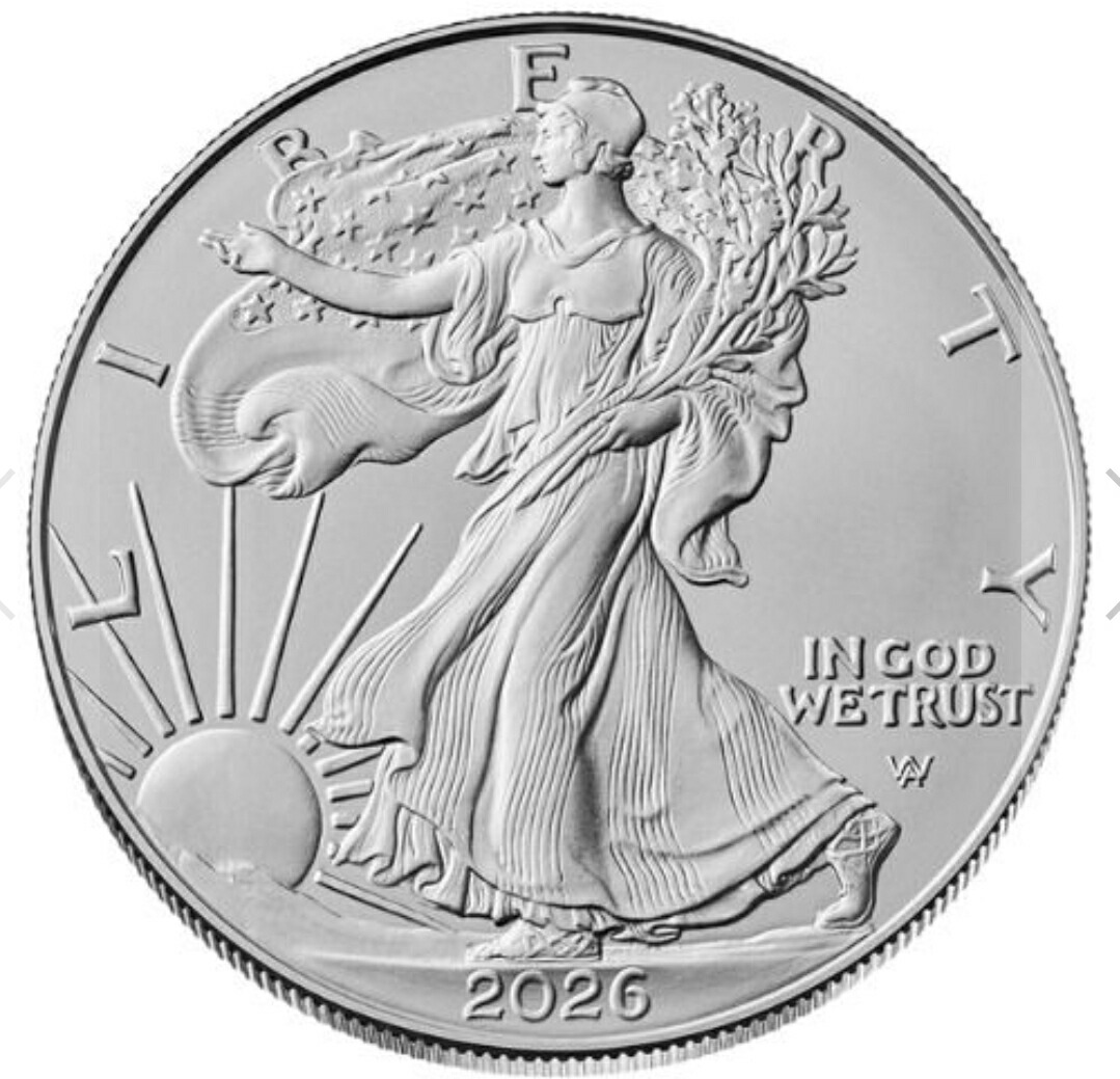 楽天市場】【純銀99.9％】 シルバー 1オンス トランプ FIGHT! トランプ