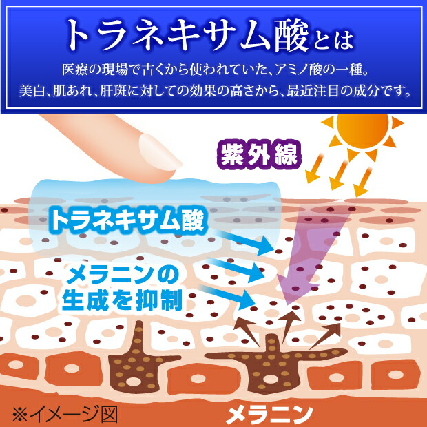 最適な価格 化粧水 美容液 乳液 クリーム パック 化粧下地 薬用 トラシーミ M 医薬部外品 bhanjyangtravels.com