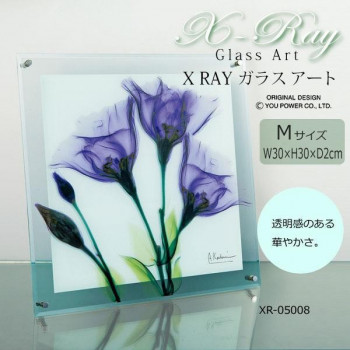 X RAY ガラス アート ジェンティアン Mサイズ XR-05008 レントゲンモチーフが美しいモダンガラスアート♪【送料無料】