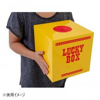 抽選ボックス(大) 7819   パーティーやイベントに使える抽選ボックス【送料無料】
