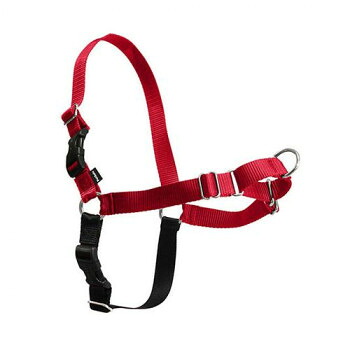 PetSafe Japan ペットセーフ イージーウォークハーネス S レッド×ブラック EWH-HC-S-RED 快適なお散歩に!【送料無料】