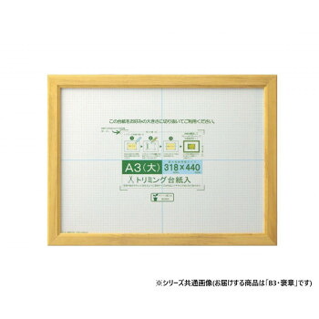 大仙　賞状額　カノエ　PET　箱入　B3・褒章　ナチュラル　33J635E4000 カノエ 賞状額【送料無料】