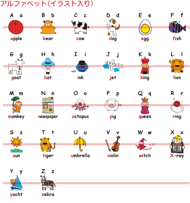 フラッシュカード 幼児 えらべる英語カード アルファベット イラスト入り ハガキサイズ 英語教材 学習 英単語 教育 発音 子供 小学校英語 英語カード 単語カード 幼稚園児 小学校 子ども英語 フォニックス フラッシュカード 幼児 えらべる英語カード アルファベット イラスト入り ハガキサイズ 英語教材 学習 英単語 教育 発音 子供 小学校英語 英語カード 単語カード 幼稚園児 小学校 子ども英語 フォニックス