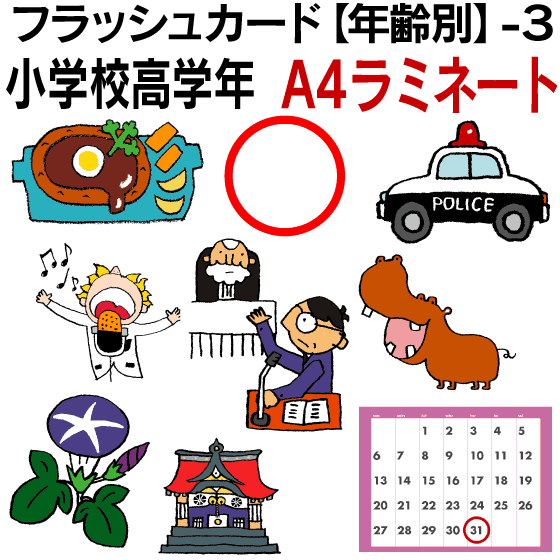 ３ 小学校高学年 ５歳 英単語 こども ４歳 ２歳 ６歳 ３歳 学習 七田式 子ども ラミネート A４サイズ 教材 １歳 子供