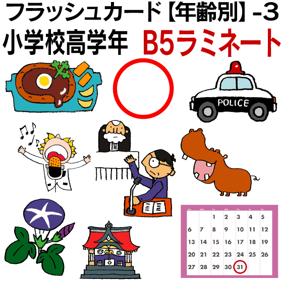 フラッシュカード 英語 カード Com ３ 小学校高学年 B５サイズ ラミネート 送料無料 七田式 英単語 １歳 ２歳 ３歳 ４歳 ５歳 ６歳 教材 学習 子供 子ども こども 小学校 幼稚園 チャンツ式 幼児 小学生 単語カードえいご 絵本 1年 2年 3年 4年 5年