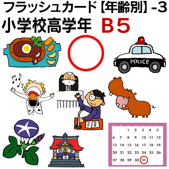 新品 未使用 クリスマスプレゼント フラッシュカード 年齢別 ３ 小学校高学年 B５サイズ 英語カード Com 送料無料 七田式 英単語 １歳 ２歳 ３歳 ４歳 ５歳 ６歳 教材 学習 子供 子ども こども 小学校 幼稚園 チャンツ式 幼児 小学生 単語カードえいご 絵本 1年 2