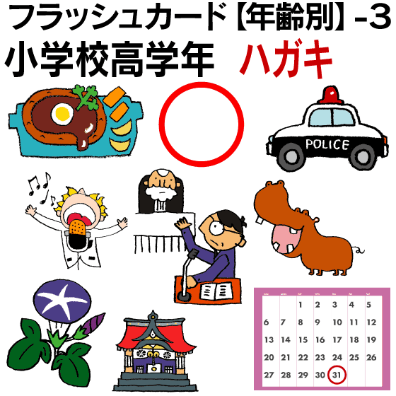最新な フラッシュカード 英語 カード Com 年齢別 ３ 小学校高学年 ハガキサイズ ラミネート 送料無料 七田式 英単語 １歳 ２歳 ３歳 ４歳 ５歳 ６歳 教材 学習 子供 子ども こども 小学校 幼稚園 チャンツ式 幼児 小学生 単語カードえいご 絵本 1年 2年 3年 4年