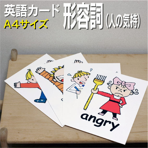 楽天市場 フラッシュカード えらべる 英語 カード 人 A４サイズ 送料無料 七田式 英単語 １歳 ２歳 ３歳 ４歳 ５歳 ６歳 教材 学習 子供 子ども こども 小学校 幼稚園 中学校 チャンツ 星みつる式 幼児 小学生 単語カードえいご 絵本 1年 2年 3年 4年 5年