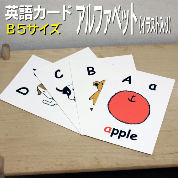 楽天市場 フラッシュカード えらべる 英語 カード 曜日 B５サイズ 送料無料 七田式 英単語 １歳 ２歳 ３歳 ４歳 ５歳 ６歳 教材 学習 子供 子ども こども 小学校 幼稚園 中学校 チャンツ 星みつる式 幼児 小学生 単語カードえいご 絵本 1年 2年 3年 4年 5年