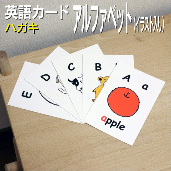 Amazon.co.jp: 単語カード 幼児・子ども用 英語教材『PadKaKa