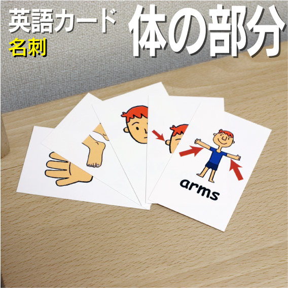 フラッシュカード 名刺サイズ 英語カード Com 送料無料 １歳 幼稚園 6年 1年 チャンツ ５歳 小学校 ３歳 子ども 英単語 5年 星みつる式 幼児 こども 単語カードえいご ４歳 3年 教材 ２歳 七田式 ６歳 子供 2年 中学校 絵本 小学生 学習 4年