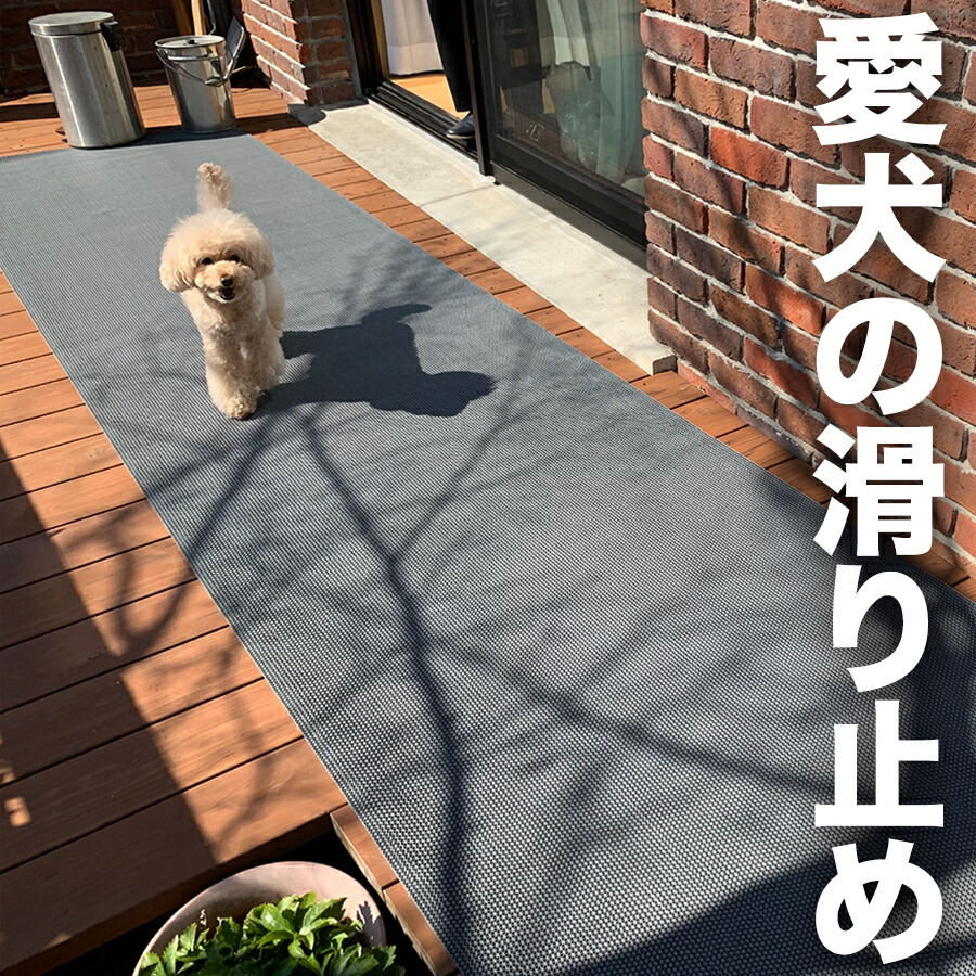 【出来事】ジャパンゴルフ公明正大2026 一こま調査報告！