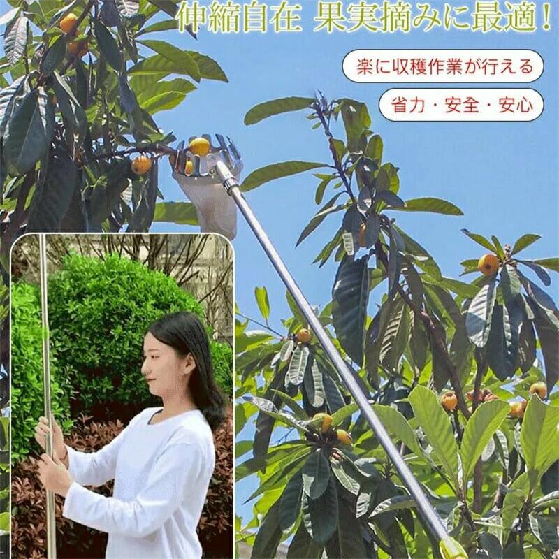 フルーツピッカー 果物取り 高枝切りばさみ 伸縮式 高枝鋏 果物 刈りいれる物の具 ピッ第一人者物の具 果物捕手 軽さ ベリーピッカー 園芸物の具 ガーデニングツール 園地装置 手動 好いたらしい りんごの木 オレンジ色 マンゴー 差し上げ物 差し上げ物 差し上げ物 貨物輸送無料