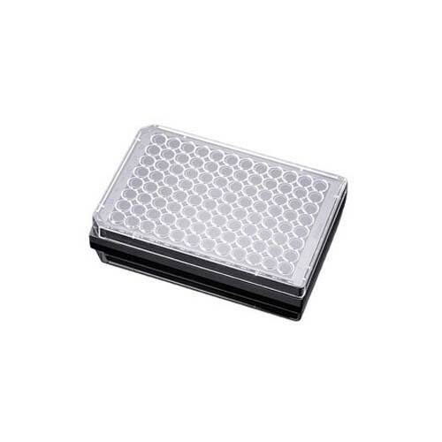 BioCoat コラーゲンI マルチウェルプレート 96ウェル(黒いことウェル／澄み切った下つ方) 5個／容器に並べる*10容器に並べる 356649