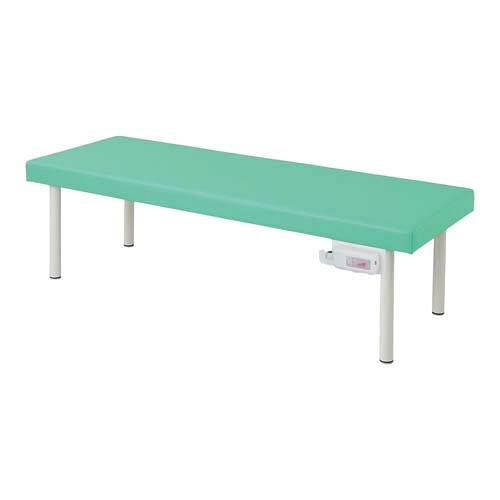カラフル診察台 (ホットマット付き) 650*1800*600mm ライトグリーン TE-H65W-PG|Pro Lab. & Healthcare Shop