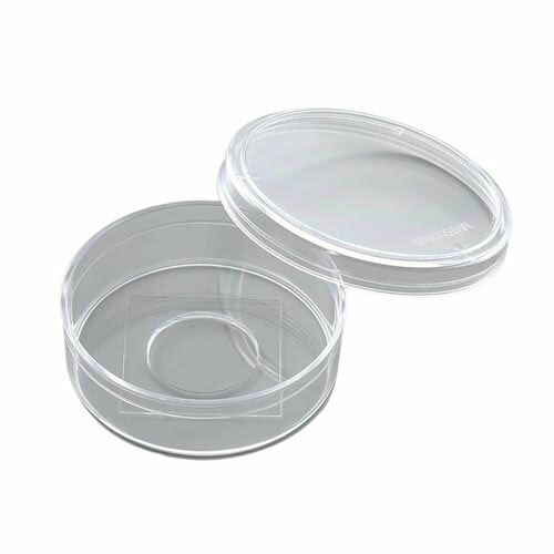 ガラスボトムディッシュ 1箱 (100個入) D11131H