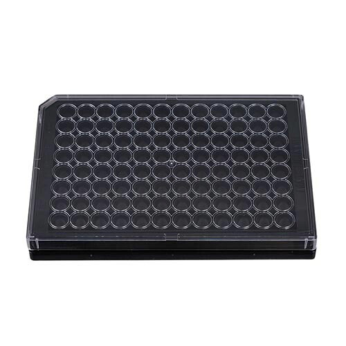 96ウェルガラスボトムプレート コラーゲン 1箱 (10枚入) GP96003