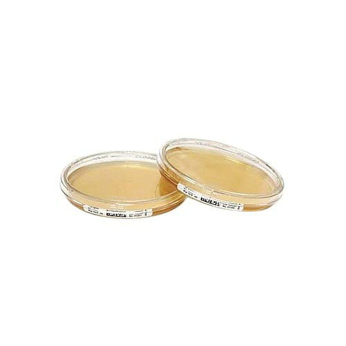 TSA+LT 90mm-ICR+ 146684 120PACK 1.46684.0120｜Pro Lab. ＆ Healthcare Shop