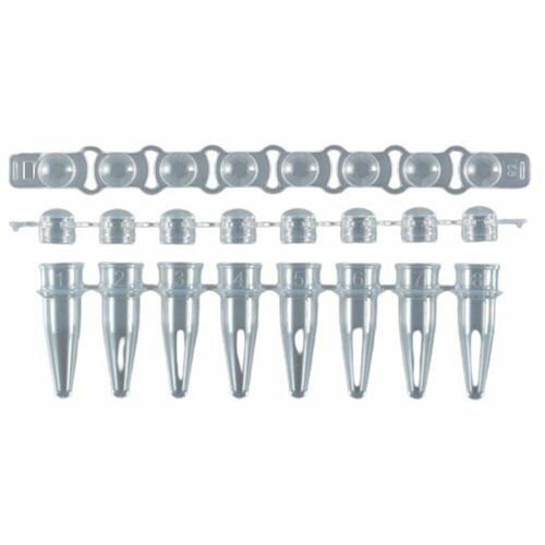 PCR用8連チューブ／キャップセット 0.2mL ドームキャップ 125セット入 3131-00