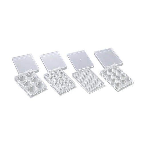 微生物培養用プレート 24穴 (平底) P24F01S 1箱(1枚×60袋入)