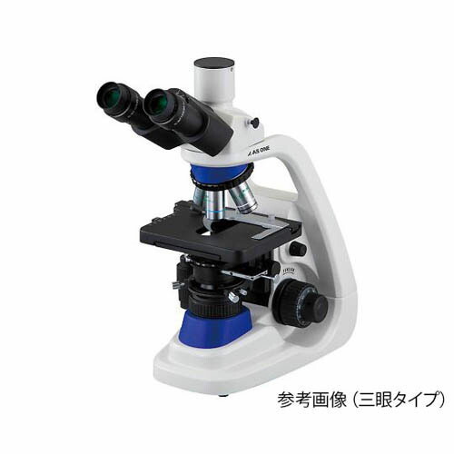 [SNSで話題 在庫あり ] MW8V98BIFSQ (MW8V98BIFSQ)