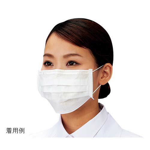喨喨たるお座敷用ディスポマスク レギュラー手合い 50枚×40箱入