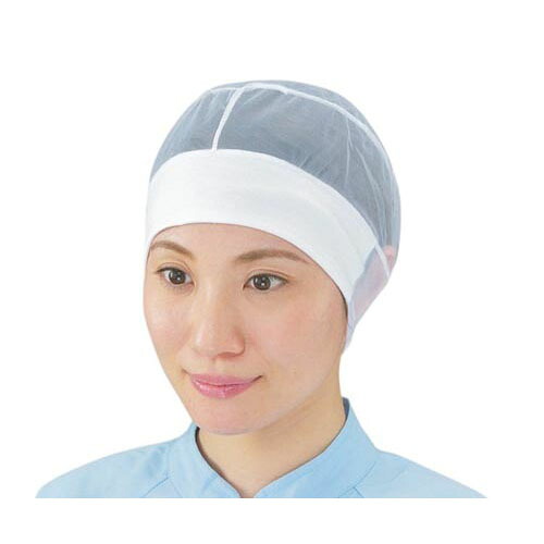ヘアーネット キャッピー 20枚入 1-8B M｜Pro Lab. ＆ Healthcare Shop