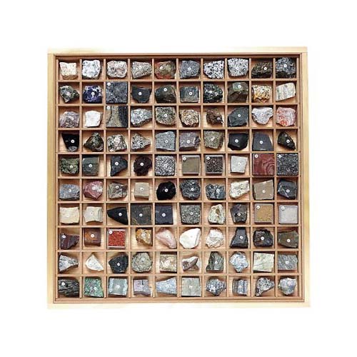 楽天市場】化石標本100種 : UnDigital科学博物店