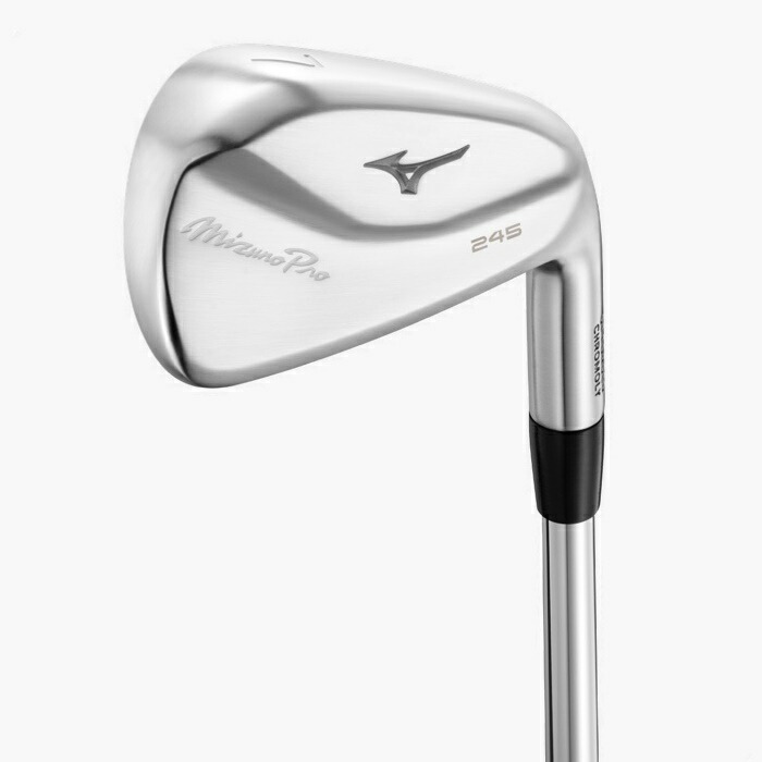 Mizuno Pro ミズノプロ241 アイアンセット 6本 Mizuno Pro 241 アイアン 6本組(No.5～9、PW)(Dynamic Gold HT