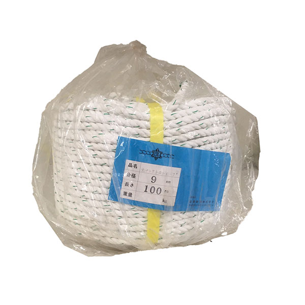 特価品 スパンテトロンロープ 9mmX100m (A) 7,106円