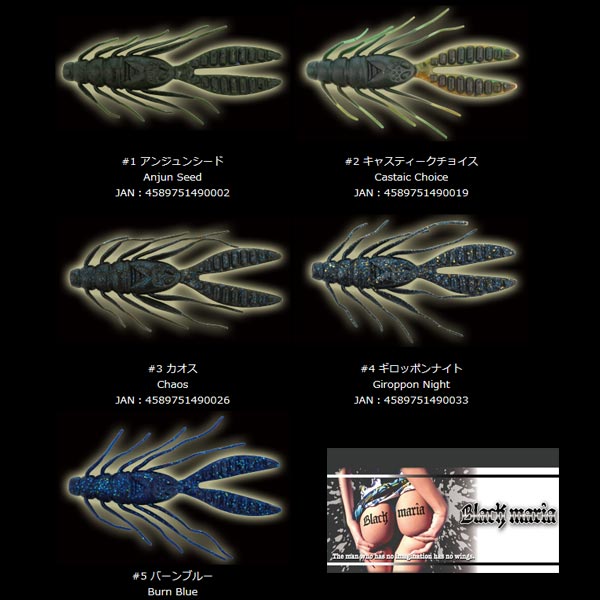 楽天市場 ブラックマリア ゴキブリ 3 4インチ Black Maria Goki Buri 3 4in 2個までメール便ok プロショップケイズ楽天市場店