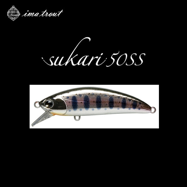 楽天市場】ima イッセン45S アムズデザイン issen 【メール便OK