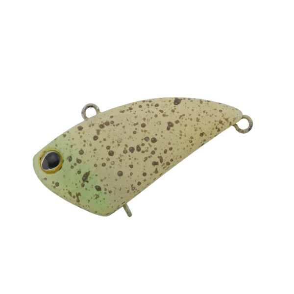 楽天市場】ティモン タップダンサー #ダイゴスケチャグローII 【メール