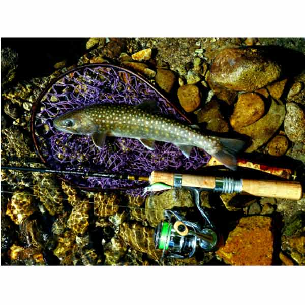 ダイワ シルバークリーク トラッド 48XULB 全長1.42m 継数2 仕舞 74cm 自重70g【大型配送】