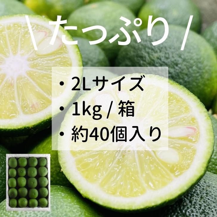 高額売筋】徳島県産約600g入り 果物