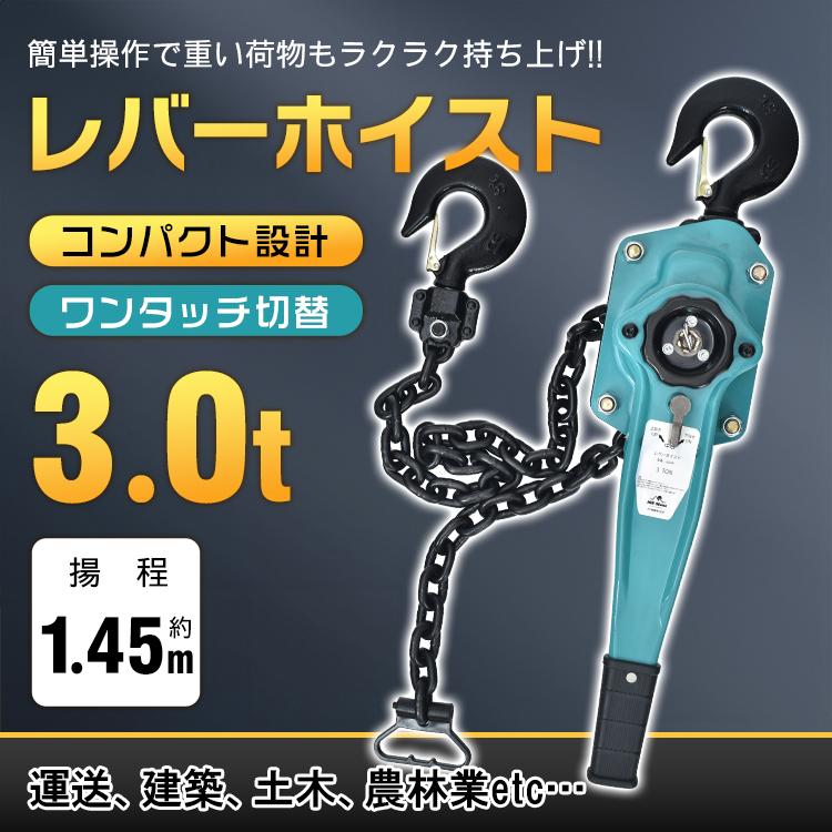 【百貨店大売り出し】生き肝ホイスト 3t 3000kg チェーン店 巻き チェーン店立ちはだかる 揚程 1.45m 巻き上げ 巻き下げ うつり変わり 飾り気の無い取り締まり ワンタッチ 軽さ 持ちはこぶ