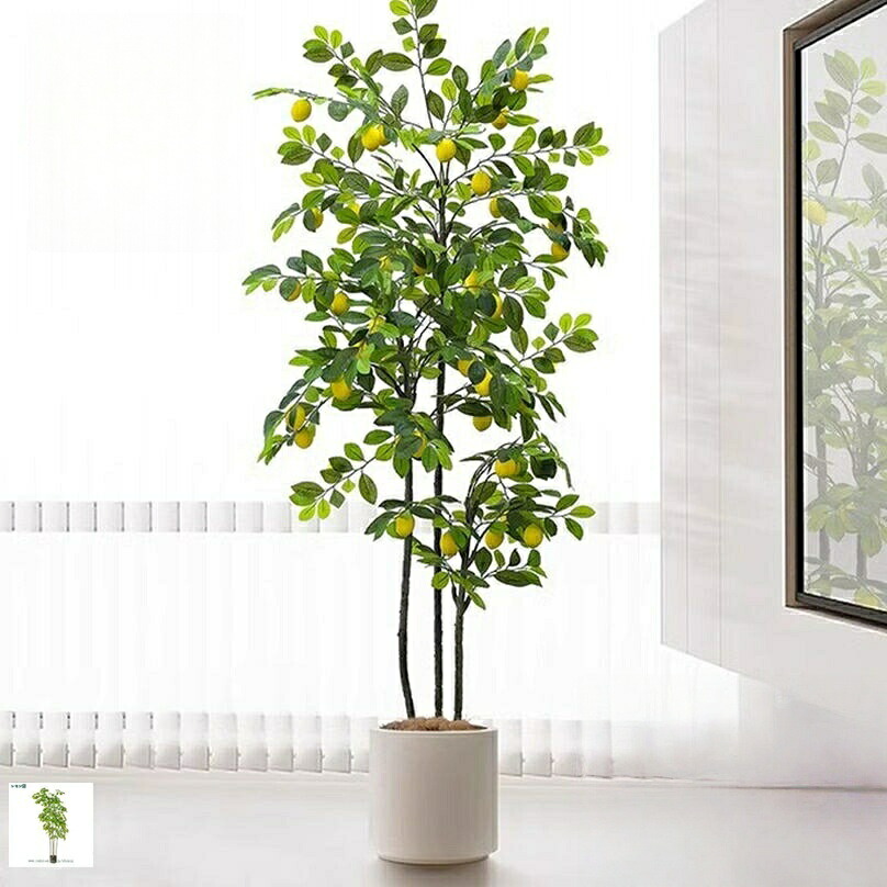 檸檬樹 フェイクグリーン 大型 人工観葉草木 室内 縁側飾りつけ 喫茶店 執務室 執務室 気取らないな姿 盆栽草木 人工観葉樹 お取りつくろう飾り気の無い 人工レモンツ 檸檬果実付き添い人 檸檬 水やり不必要