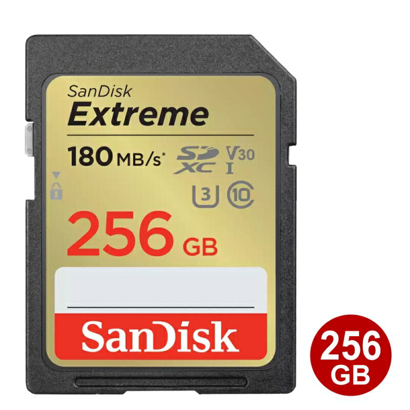 サンディスク SDXCカード 256GB EXTREME Class10 UHS-1 U3 V30 180MB/s SDSDXVV-256G-GNCIN SanDisk SDカード 海外リテール 【メール便送料無料】