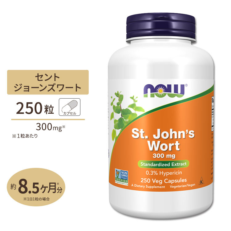 Fontaine新品3個 Amazon | SOESFOUFU 10個ロックスクリュー 螺旋ネジ