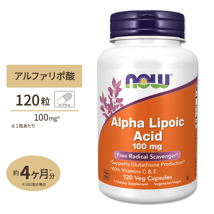[6個セット]NOW Foods アルファリポ酸 100mg 120粒 ベジカプセル ナウフーズ ALPHA LIPOIC ACID 100mg 120vegcapsules｜プロテインUSA 12,348円