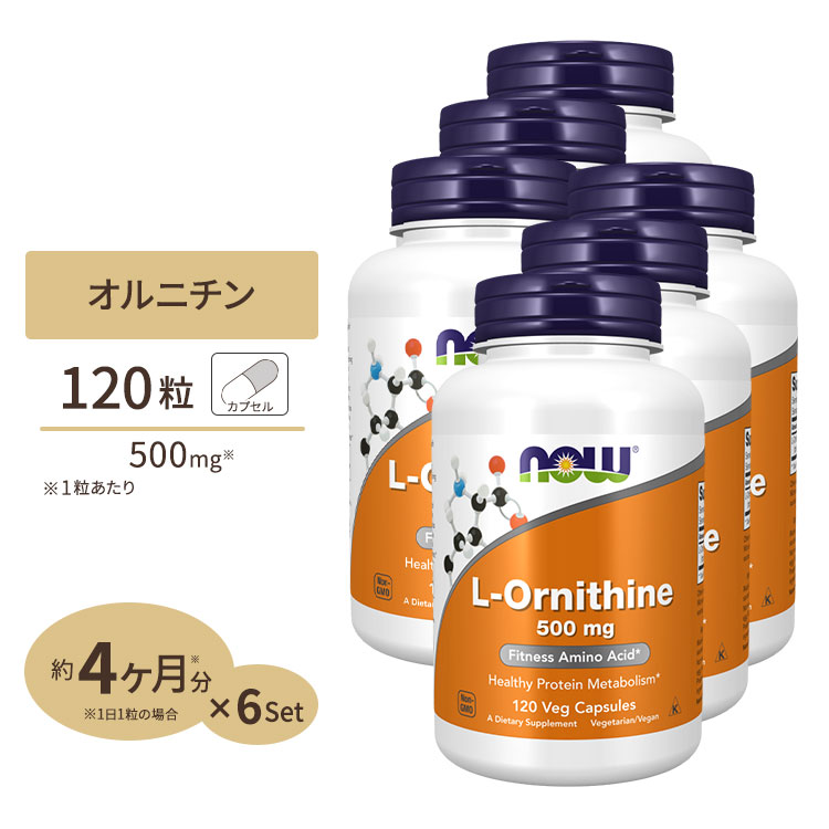 [6個セット] L-オルニチン 500mg (約4か月分) 3粒1500mgの「L-オルニチン」を配合 120粒 NOW Foods (ナウフーズ)｜プロテインUSA
