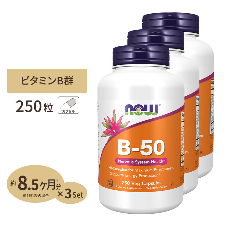 [3個セット] ナウフーズ B-50 サプリメント 250粒 NOW Foods ビタミンB群11種 葉酸 ナイアシン ビオチン パントテン酸 PABA コリン イノシトール お得サイズ ベジカプセル｜プロテインUSA
