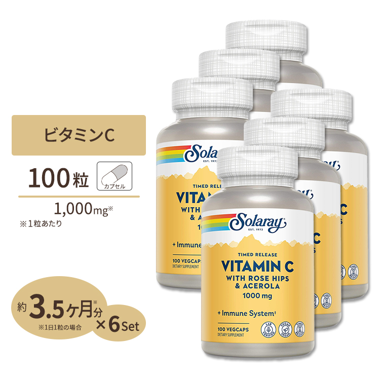 安価 6個セット 2段階タイムリリース ビタミンC 1000mg 100粒 www.agroservet.com