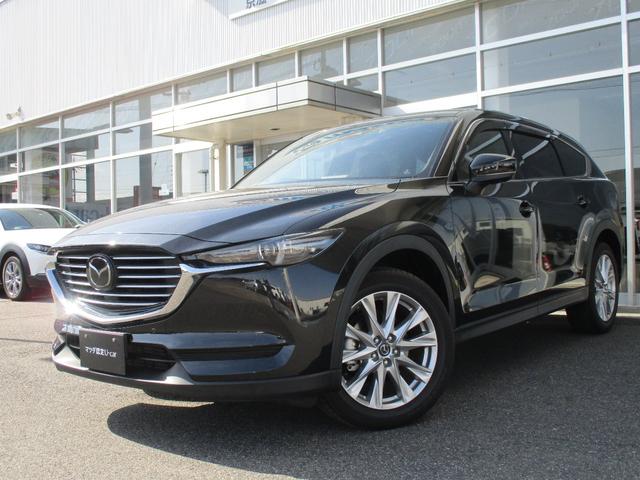 教育課程アクティヴ ディーゼルターボ マツダ 価値付ける書案 中古 Damienrice Com